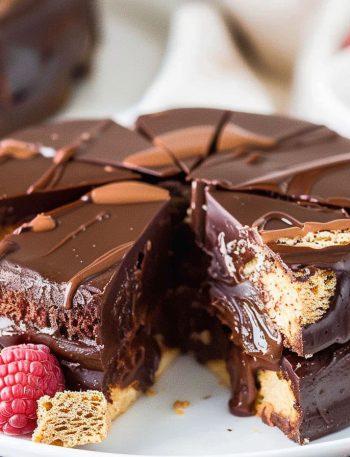 Chocolate Biscuit Cake