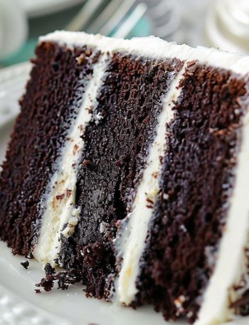 Chocolate Coconut Cake