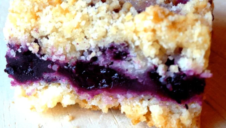 Blueberry Crumble Bars