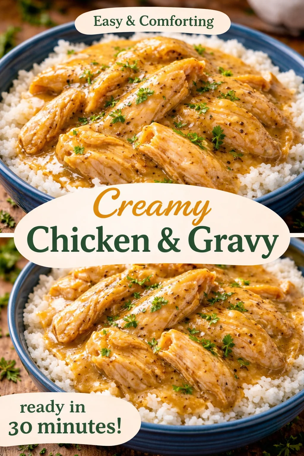 Slow Cooker Chicken and Gravy Recipe